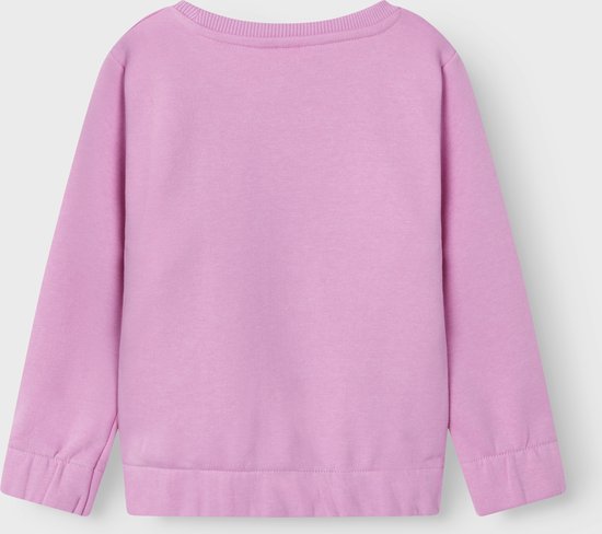 NAME IT Sweat à Capuche Bébé Fille Nbfodessa – Coton Doux & Broderie Mignonne