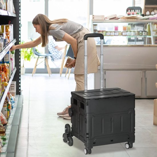 Homcom Winkelwagen Vouwkrat Trapklimmer Opvouwbaar max. 65 Kg