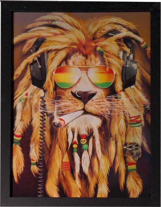 Poster 3D met Lijst - Rasta met Headphone Leeuw/Kat/Hond - 3 Afbeeldingen - 43x33cm