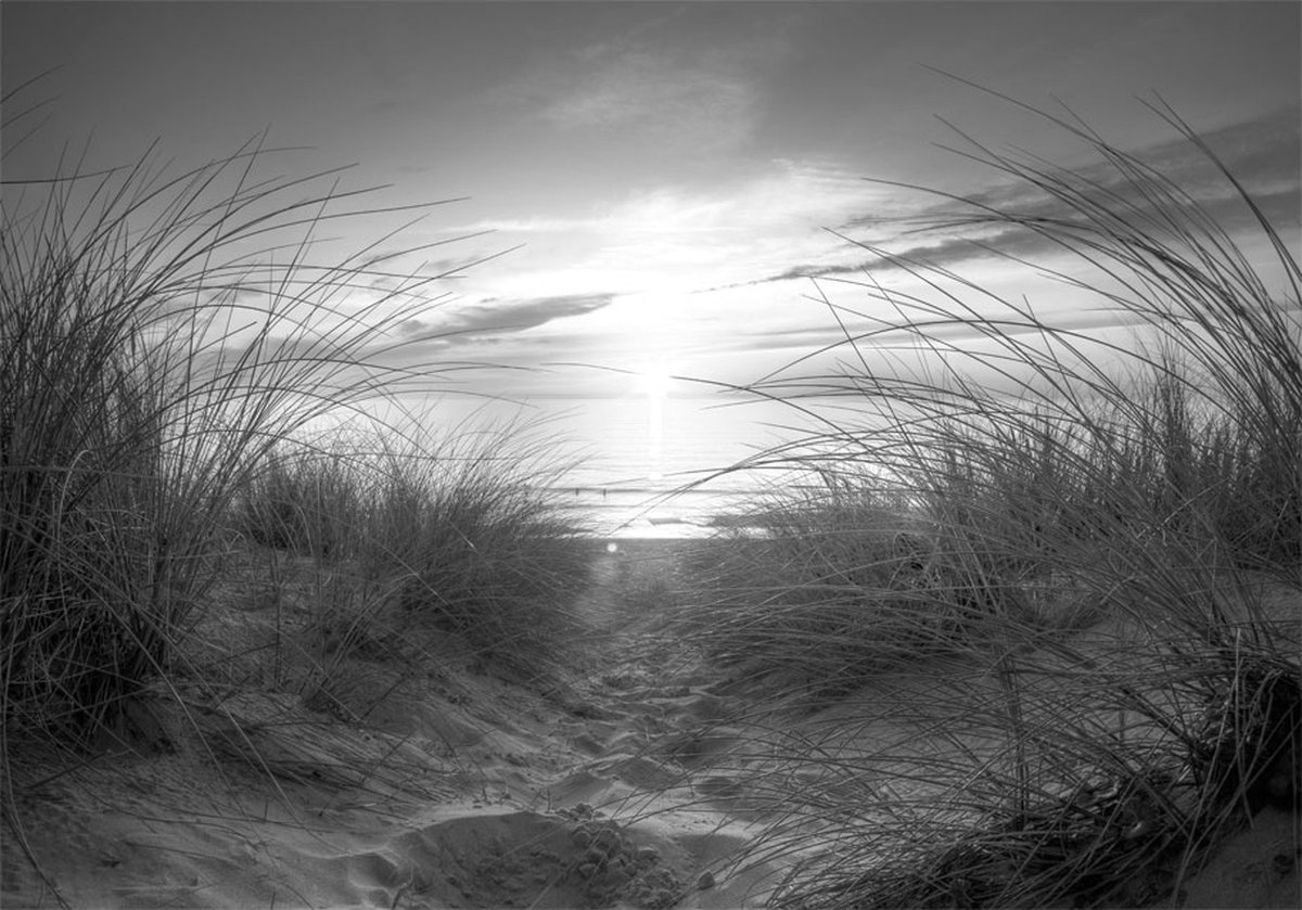 Fotobehang - beach (black and white).