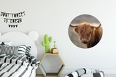 WallCircle - Muurstickers - Behangcirkel - Schotse hooglander - Licht - Portret - 50x50 cm - Muurcirkel - Zelfklevend - Ronde Behangsticker