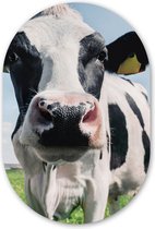 Ovale Mural - Ovale Mural - Décoration murale Plastique - Peinture Ovale - Vache - Pâturage - Nature - Animaux - Herbe - 40x60 cm - Forme Miroir Ovale sur Plastique