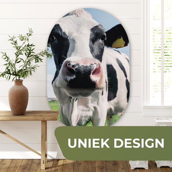 Ovale Mural - Ovale Mural - Décoration murale Plastique - Peinture Ovale - Vache - Pâturage - Nature - Animaux - Herbe - 80x120 cm - Forme Miroir Ovale sur Plastique