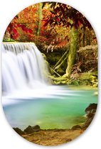Wall Oval - Décoration murale Plastique - Tableau Ovale - Automne - Cascade - Nature - 60x90 cm - Forme Miroir Ovale sur Plastique