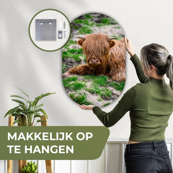 Ovale mural - Décoration murale en plastique - Peinture ovale - Highlander écossais - Foin - Herbe - 60x90 cm - Forme miroir ovale sur plastique