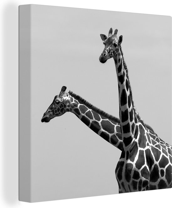 Canvas Schilderij Twee giraffes in zwart-wit - 50x50 cm - Wanddecoratie