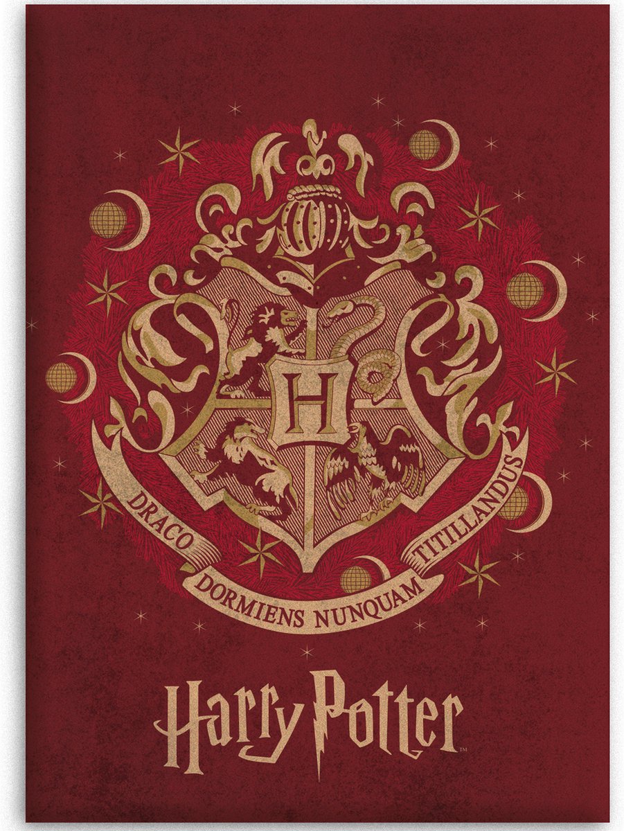 Harry Potter Fleece - Plaid - 110x140 cm - Rood
