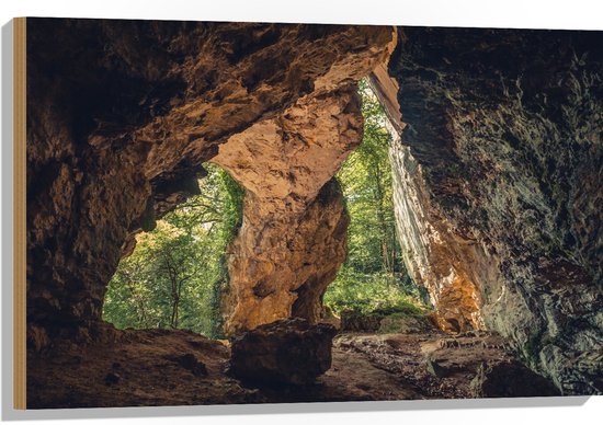 WallClassics - Hout - Grote Grot in Bos - 90x60 cm - 12 mm dik - Foto op Hout (Met Ophangsysteem)