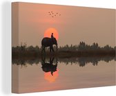 Canvas Schilderij Een olifant bij een rijstveld in Thailand tijdens een zonsondergang - 120x80 cm - Wanddecoratie
