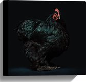 WallClassics - Canvas  - Zwarte Kip met Donkere Achtergrond - 30x30 cm Foto op Canvas Schilderij (Wanddecoratie op Canvas)