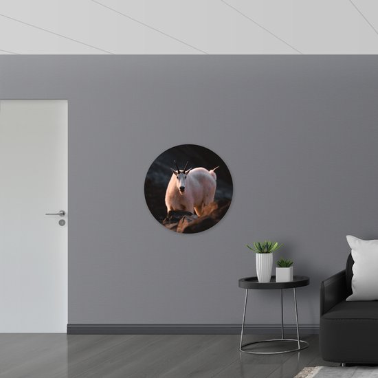 WallClassics - Panneau mural en mousse PVC - Chèvre Witte dans les Montagnes - Photo 80 x 80 cm sur panneau mural (avec système de suspension)