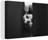Profil animalier tricherie chat en toile noir et blanc 2cm 30x20 cm - petit - Tirage photo sur toile (Décoration murale salon / chambre)