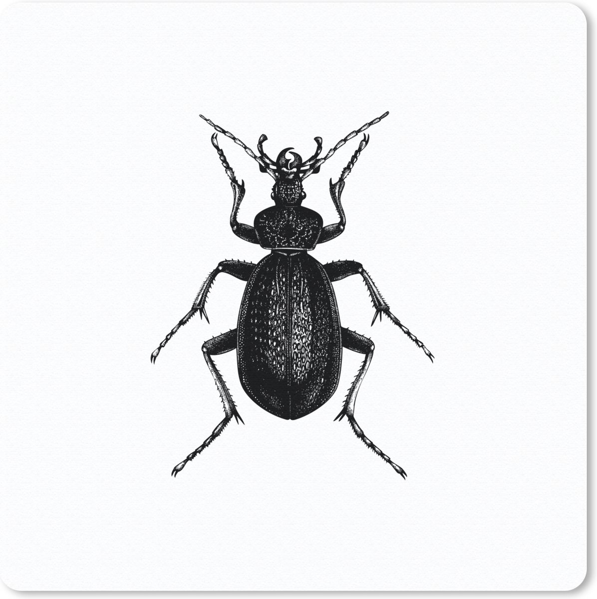 Muismat 20x20 cm - Mousepad Zwart wit - Kever - Vintage - Insecten - Muismatten