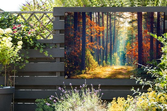 Affiche jardin - Toile jardin - Affiches jardin extérieur - Forêt - Soleil - Nature - Automne - Posters de jardin cm - Jardin