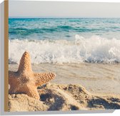WallClassics - Bois - Grande Étoile de mer - 50x50 cm - Épaisseur 12 mm - Photo sur bois (avec système de suspension)