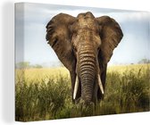 Canvas Schilderij Afrikaanse olifant in het gras in het Nationaal park Serengeti - 90x60 cm - Wanddecoratie