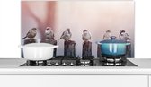 Spatscherm keuken 100x50 cm - Kookplaat achterwand Vogels - Mussen - Paaltjes - Hout - Muurbeschermer - Spatwand fornuis - Hoogwaardig aluminium