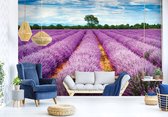 Fotobehang - Vlies Behang - Lavendelveld - Lavendel - Bloemen Landschap - 208 x 146 cm