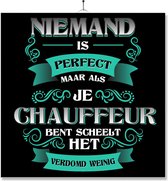 Tegel Met Opdruk | Kado | Cadeau | Niemand Is Perfect | Beroep | Chauffeur