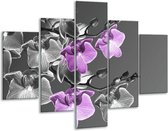 Peinture sur verre d'orchidée | Gris, violet, noir | 100x70cm 5Liège | Tirage photo sur verre |  F002741