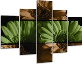 Glasschilderij Bloem | Groen, Bruin | 100x70cm 5Luik | Foto print op Glas |  F004475