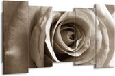 Peinture | Peinture sur toile Rose, Fleur | Sépia | 150x80cm 5Liège | Tirage photo sur toile