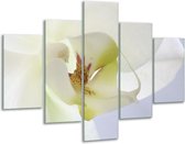 Glasschilderij -  Orchidee - Wit, Geel, Groen - 100x70cm 5Luik - Geen Acrylglas Schilderij - GroepArt 6000+ Glasschilderijen Collectie - Wanddecoratie- Foto Op Glas