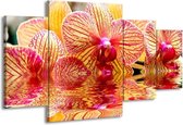 GroepArt - Schilderij -  Orchidee - Geel, Rood, Wit - 160x90cm 4Luik - Schilderij Op Canvas - Foto Op Canvas
