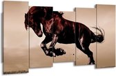 GroepArt - Canvas Schilderij - Paard - Bruin, Grijs, Zwart - 150x80cm 5Luik- Groot Collectie Schilderijen Op Canvas En Wanddecoraties