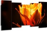 GroepArt - Canvas Schilderij - Tulp - Oranje, Zwart, Geel - 150x80cm 5Luik- Groot Collectie Schilderijen Op Canvas En Wanddecoraties