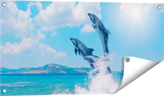 Dauphins Sautant Hors De L'eau Avec Des éclaboussures D'ai Générative