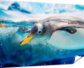 Gards Tuinposter Pingu�n Zwemt onder Water - 180x120 cm - Tuindoek - Tuindecoratie - Wanddecoratie buiten - Tuinschilderij