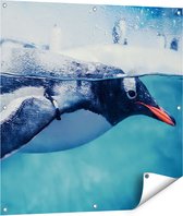 Gards Tuinposter Pingu�n Zwemt in het Water - 90x90 cm - Tuindoek - Tuindecoratie - Wanddecoratie buiten - Tuinschilderij