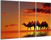 Glasschilderij Natuur - Oranje, Geel, Bruin - 120x80cm 3Luik - Foto Op Glas - Geen Acrylglas Schilderij - GroepArt 6000+ Glas Art Collectie - Maatwerk Mogelijk