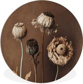 WallCircle - Cercle mural ⌀ 140 - Fleurs - Plantes - Fleurs séchées - Marron - Tableaux ronds salon - Plaque murale ronde - Cercle de Décoration murale - Décoration de chambre à l'intérieur - Cercle mural de Décoration murale - Accessoires de maison