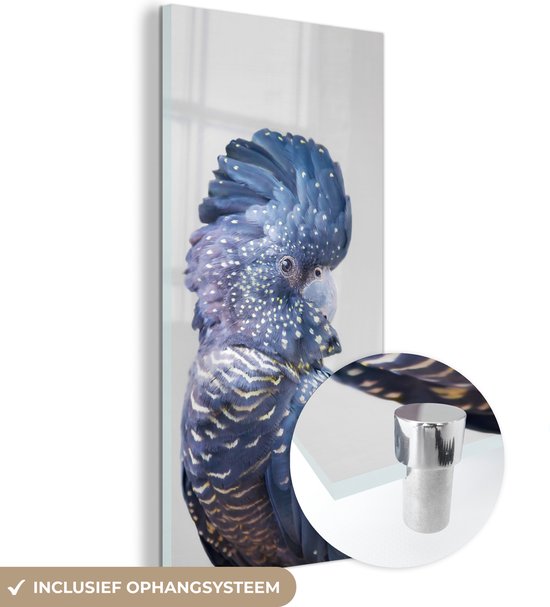MuchoWow® Glasschilderij 60x120 cm - Schilderij acrylglas - Kaketoe - Blauw - Dieren - Natuur - Foto op glas - Schilderijen