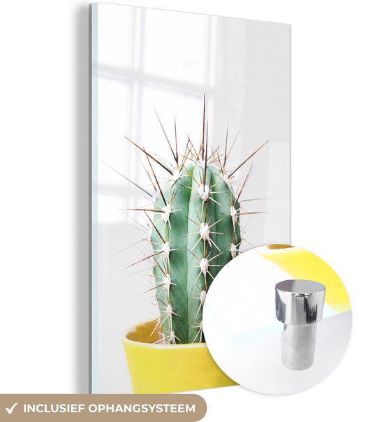 MuchoWow® Glasschilderij 80x120 cm - Schilderij acrylglas - Cactus - Planten - Natuur - Groen - Foto op glas - Schilderijen