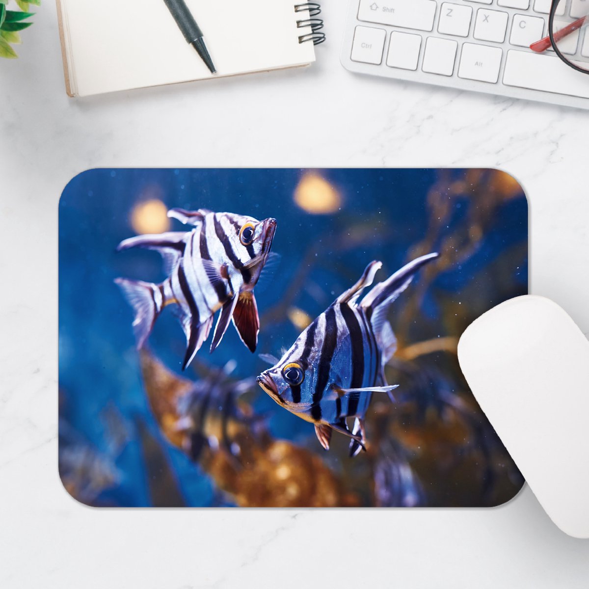 Muismat - Duo Enoplosus Armatus Vis met Blauwe Details - 25x18 cm - 2 mm Dik - Muismat van Vinyl