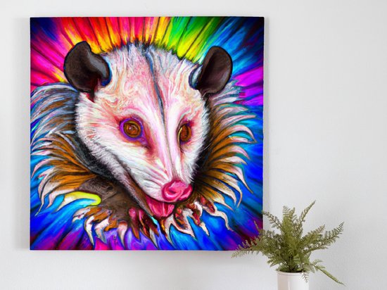 Opossums colorful explosion | Opossum's Colorful Explosion | Kunst - 60x60 centimeter op Canvas | Foto op Canvas