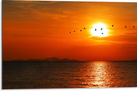 Dibond - Silhouet van Zwerm Vogels bij Zonsondergang boven de Zee - 75x50 cm Foto op Aluminium (Met Ophangsysteem)