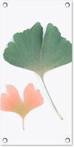 Tuinposter Bladeren - Groen - Oranje - Natuur - 30x60 cm - Tuindoek - Buitenposter