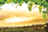 Fotobehang Sunset Grapes Grape Vine Nature | XL - 208cm x 146cm | 130g/m2 Vlies