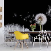 Fotobehang Dandelions | VEA - 206cm x 275cm | 130gr/m2 Vlies