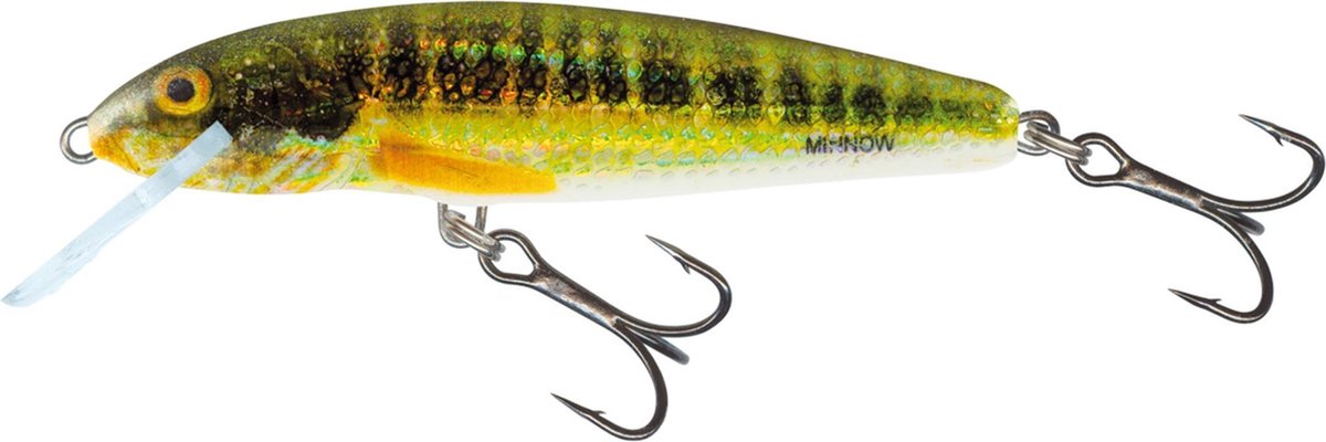 Salmo - Minnow Floating | Plug | Holo Real Minnow | 7cm - Zilver
