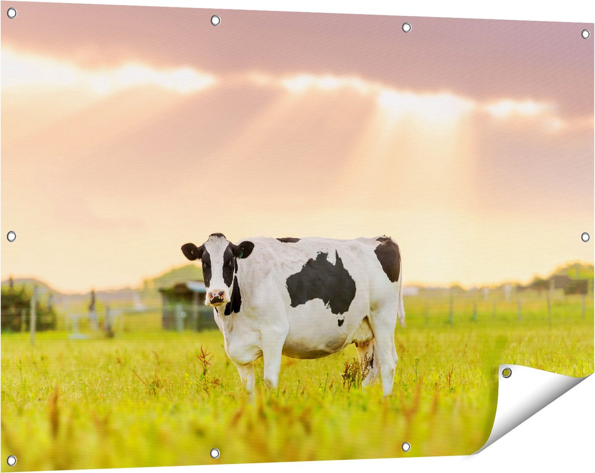 Gards Tuinposter Zwart Wit Koe in de Wei bij Zonsopkomst - 120x80 cm - Tuindoek - Tuindecoratie - Wanddecoratie buiten - Tuinschilderij Multikleur