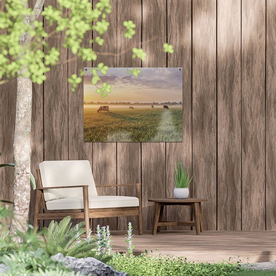 Affiche de jardin du Gards Vaches dans le pré au lever du soleil - 80x60 cm - Toile de jardin - Décoration de jardin - Décoration murale extérieur - Tableau de jardin
