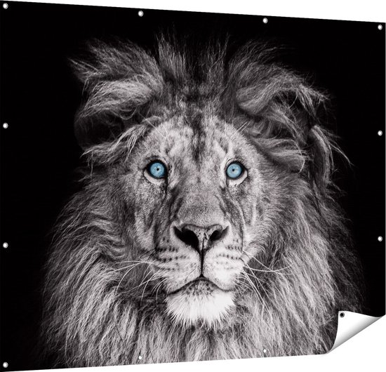 Affiche jardin Gards - 150x120 cm - Toile jardin - Décoration de jardin - Décoration murale extérieur - Tableau jardin