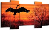 GroepArt - Schilderij - Vogels - Zwart, Oranje, Rood - 120x65 5Luik - Foto Op Canvas - GroepArt 6000+ Schilderijen 0p Canvas Art Collectie - Wanddecoratie