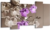 GroepArt - Schilderij - Orchidee - Bruin, Paars - 120x65 5Luik - Foto Op Canvas - GroepArt 6000+ Schilderijen 0p Canvas Art Collectie - Wanddecoratie