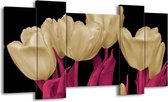Peinture sur toile Tulipes | Blanc, noir, rose | 120x65 5 Liège